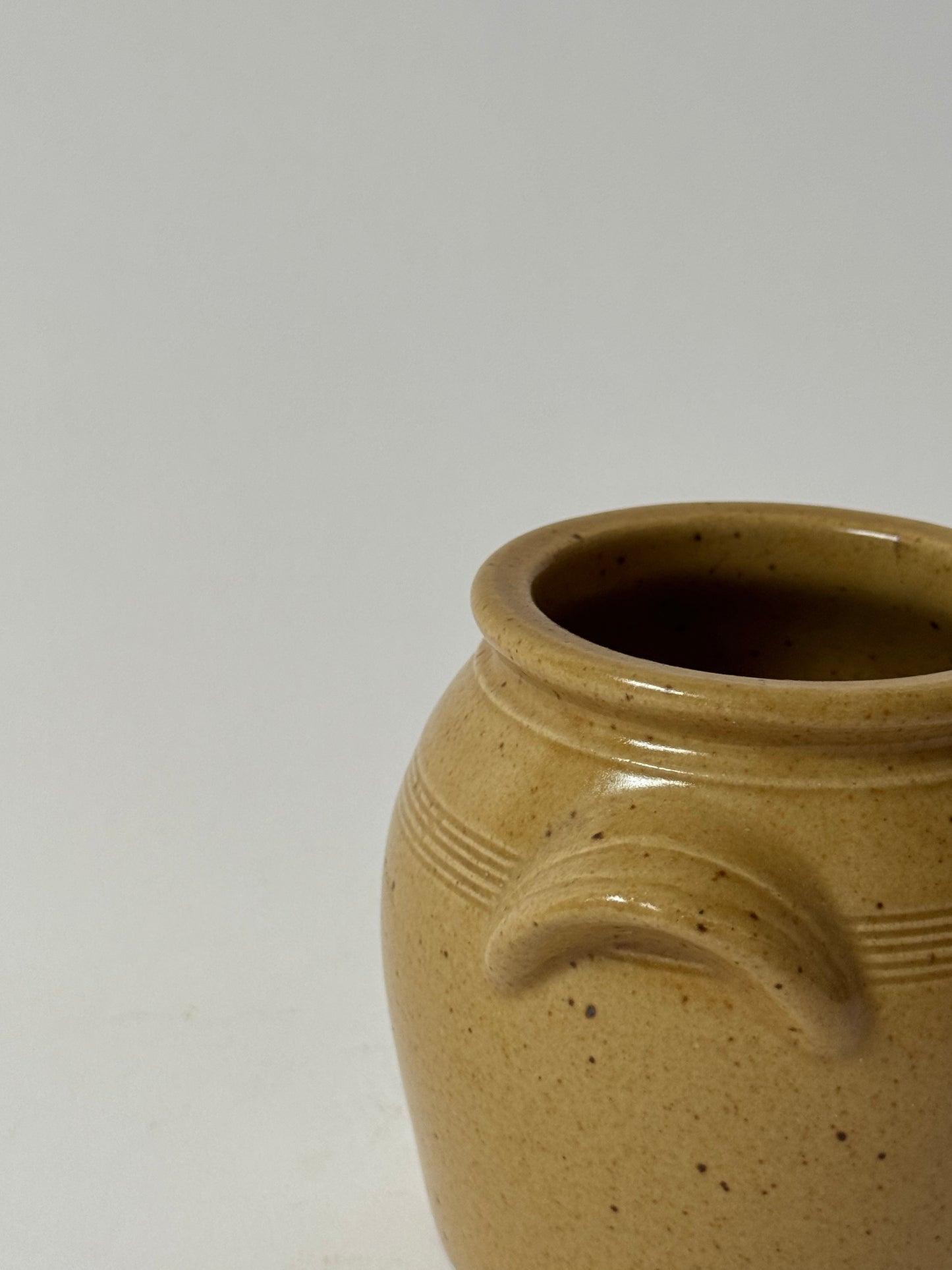 Small Mustard French Confit Pot