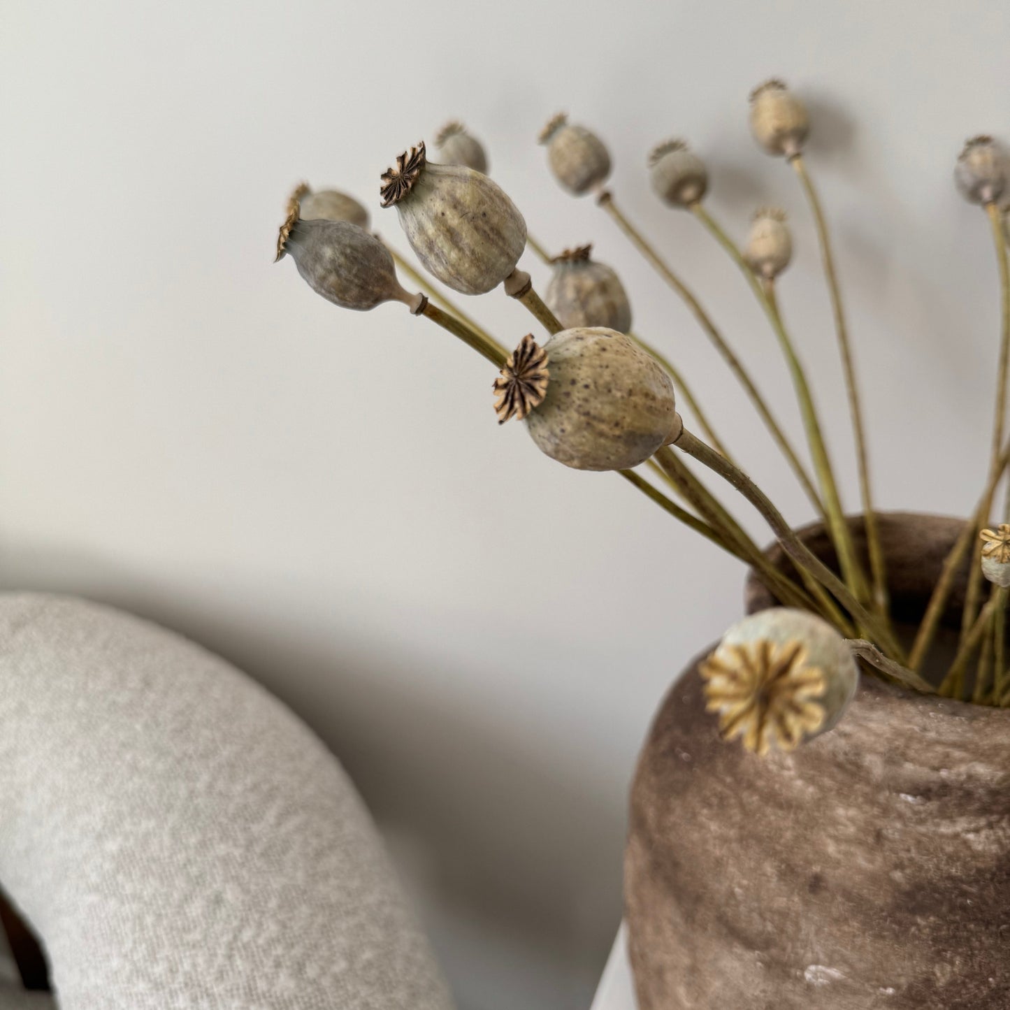 Dried Poppy Seed Bunch