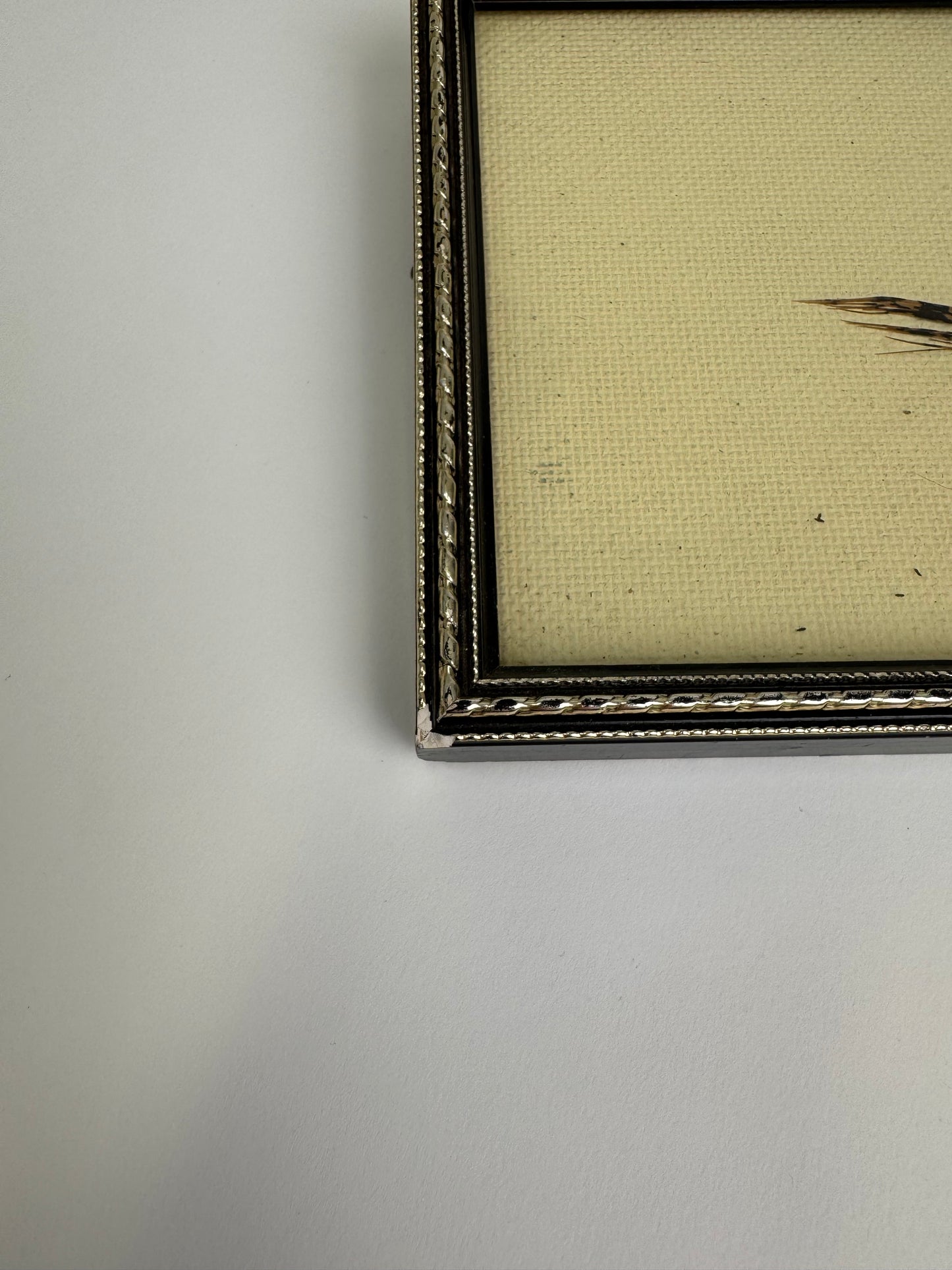Small Vintage feather exotic bird Art