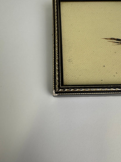 Small Vintage feather exotic bird Art