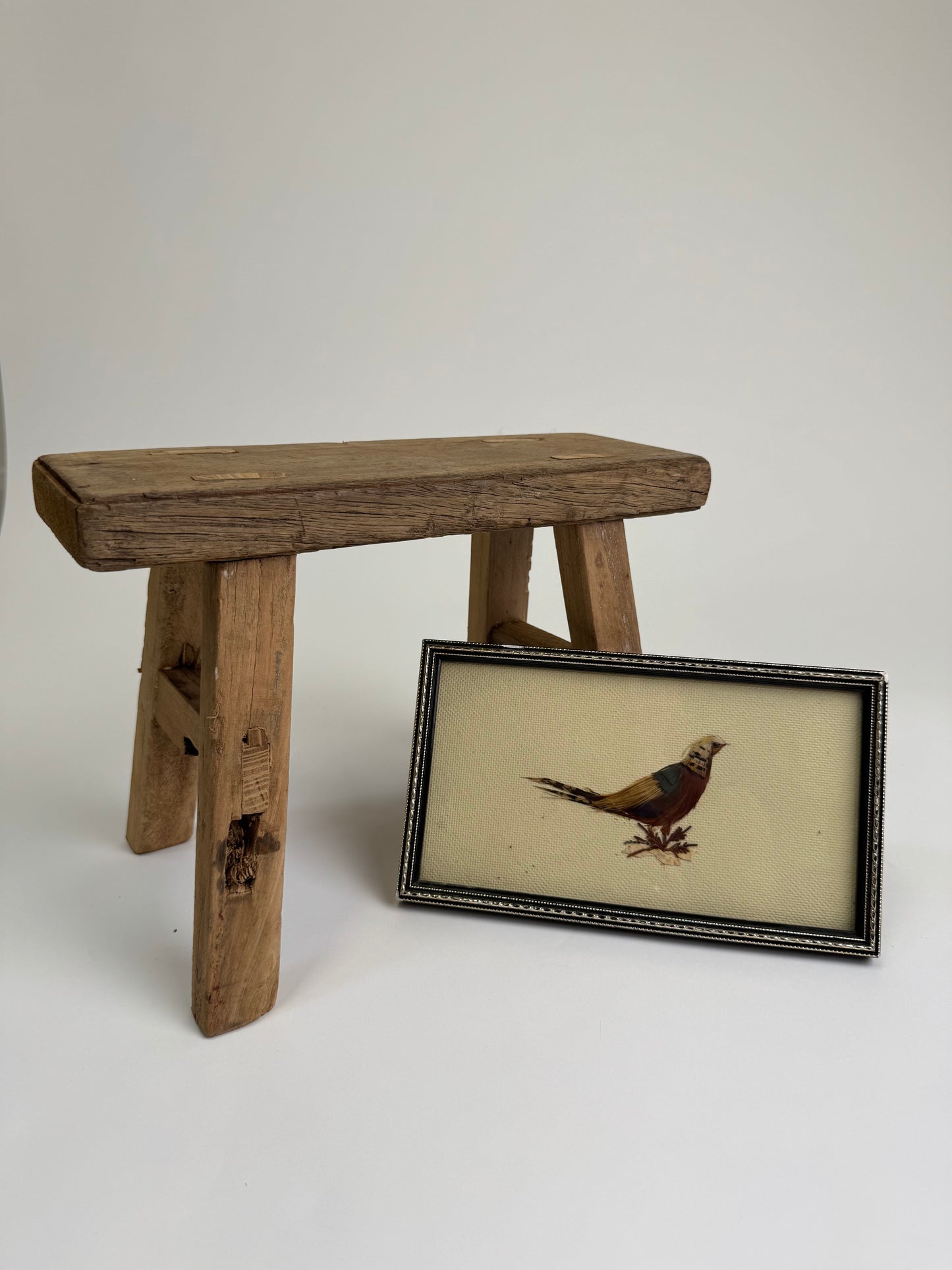 Small Vintage feather exotic bird Art