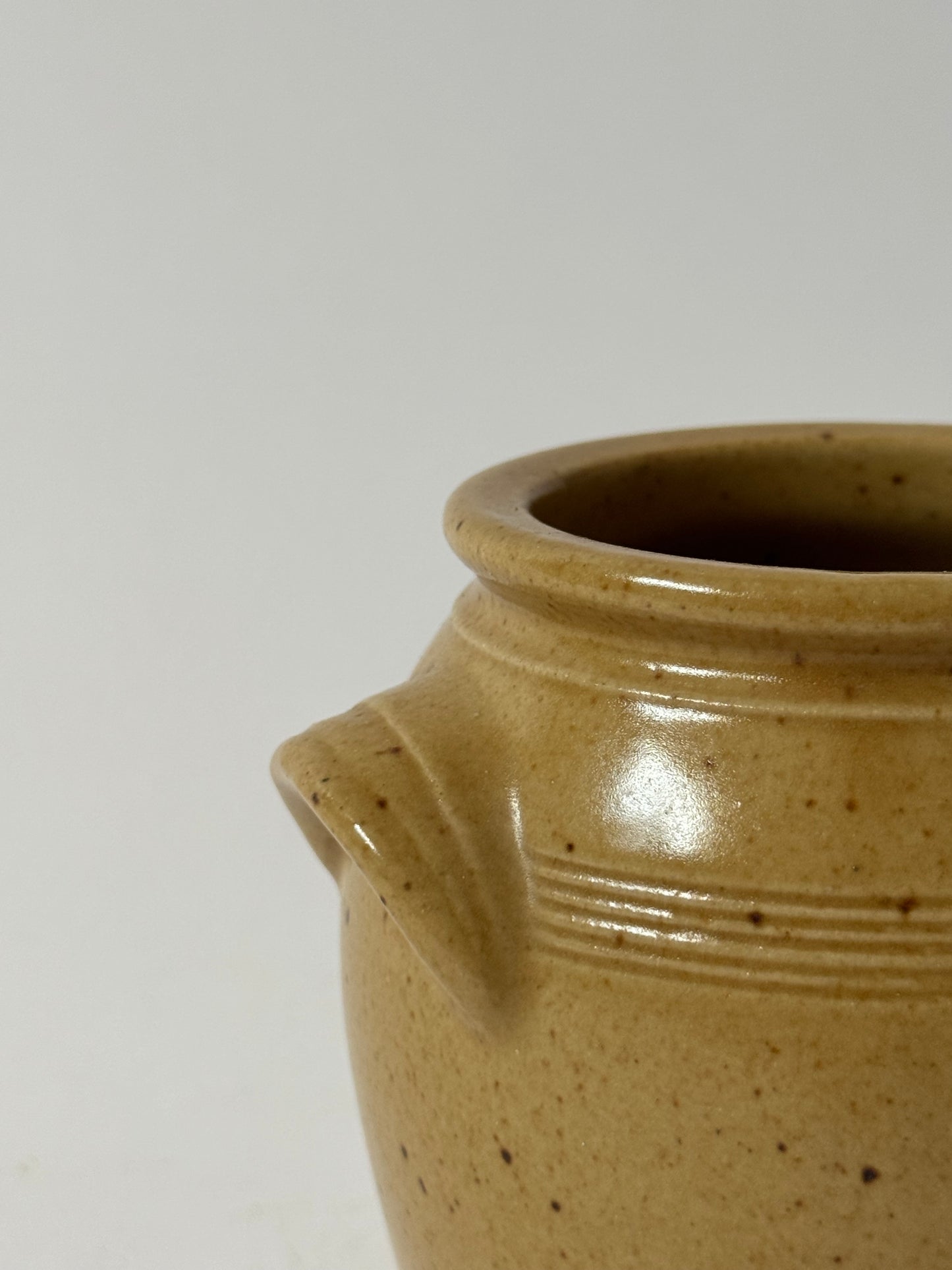 Small Mustard French Confit Pot