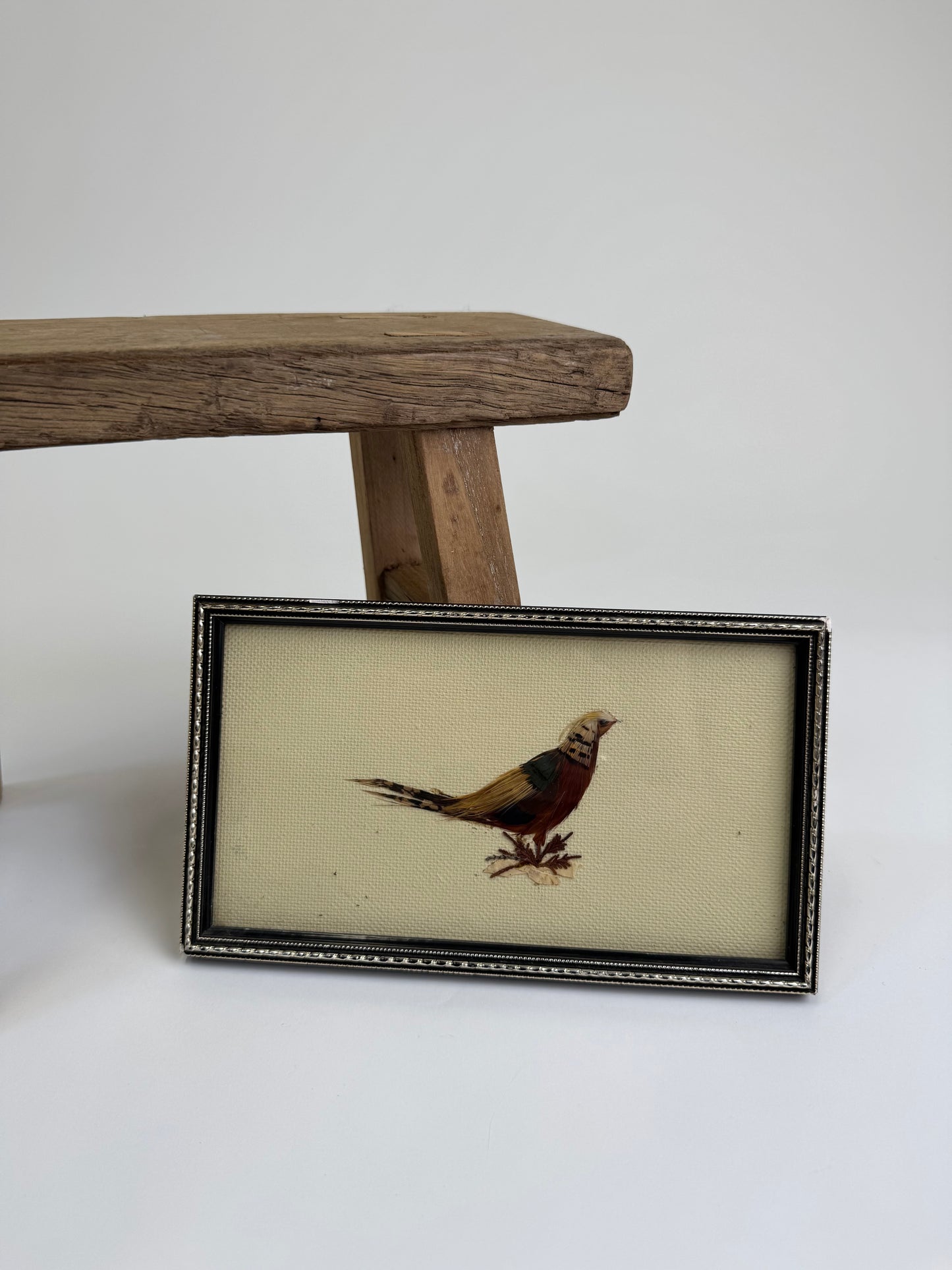 Small Vintage feather exotic bird Art