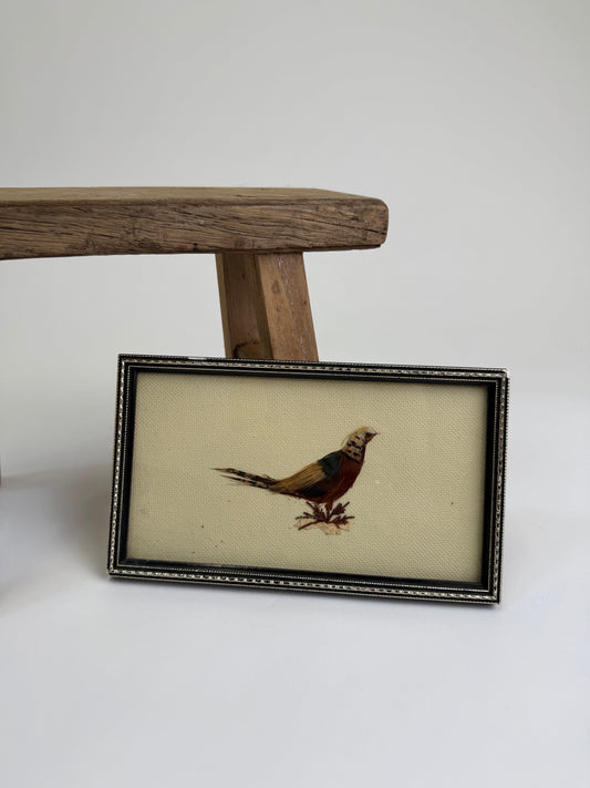 Small Vintage feather exotic bird Art