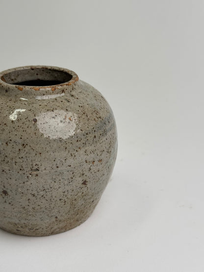 Speckled Glaze Antique Ginger Jar