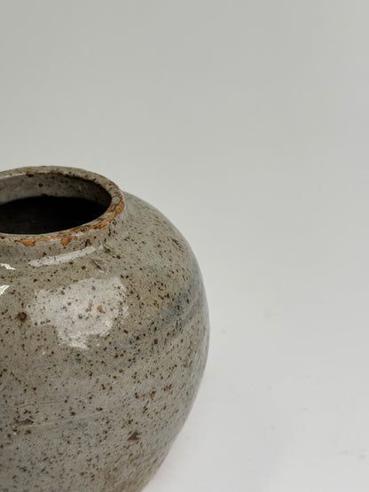 Speckled Glaze Antique Ginger Jar