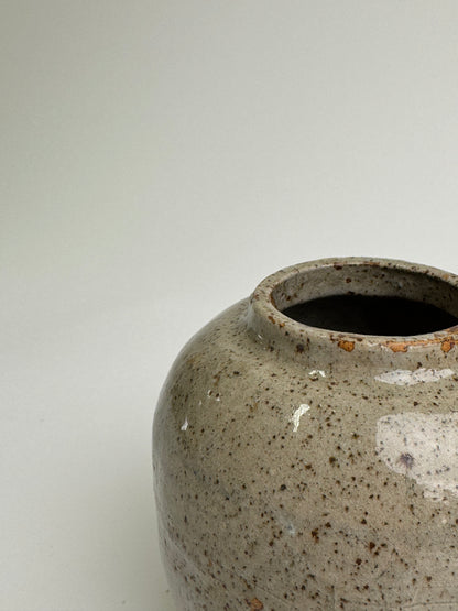 Speckled Glaze Antique Ginger Jar