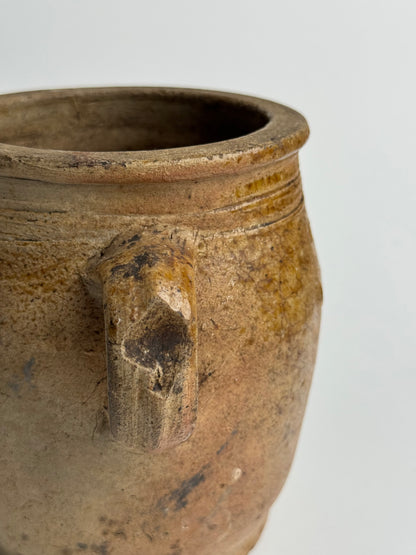 Twin Loop Handle French Pot