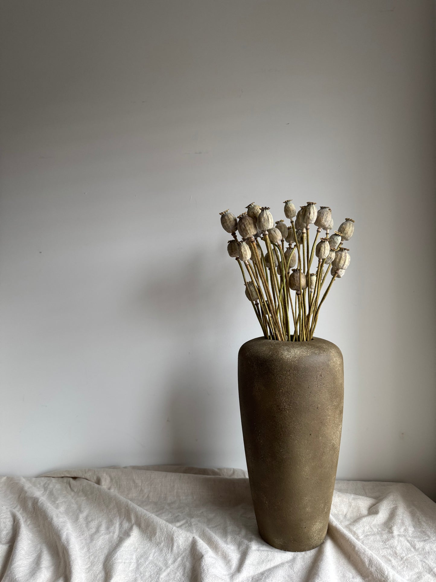 Dried Poppy Seed Bunch