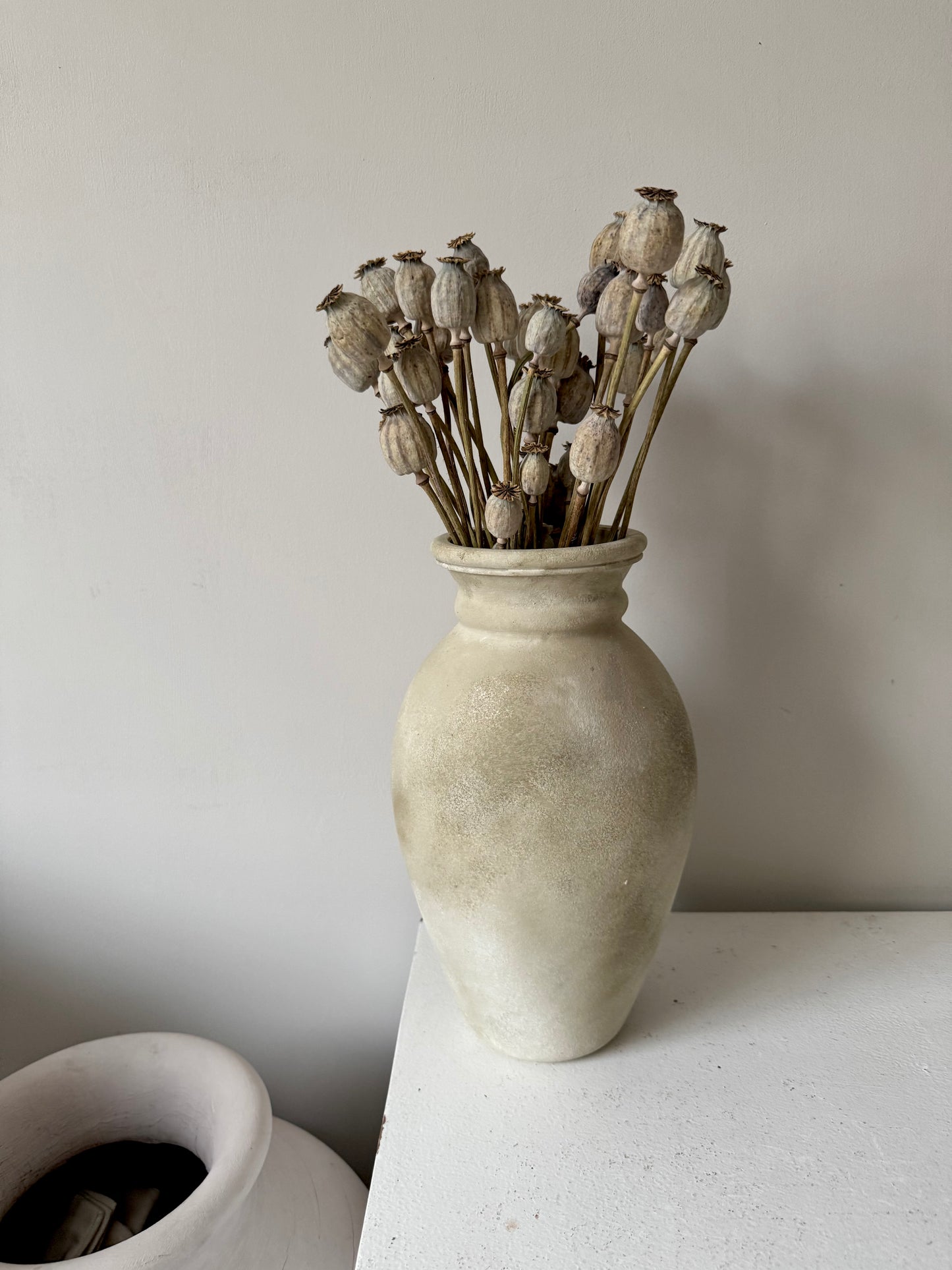 Dried Poppy Seed Bunch