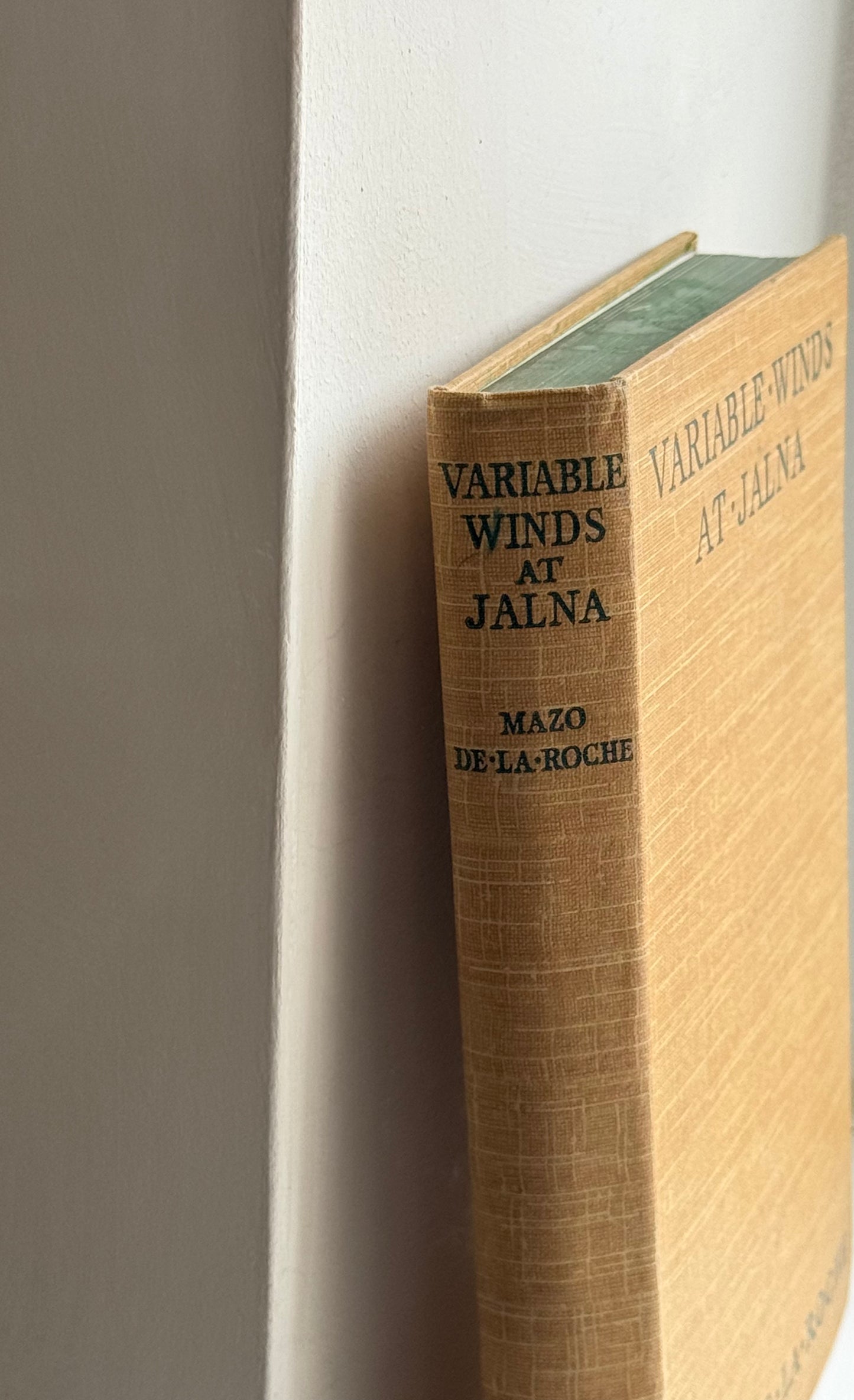 Mustard Beige Vintage Book