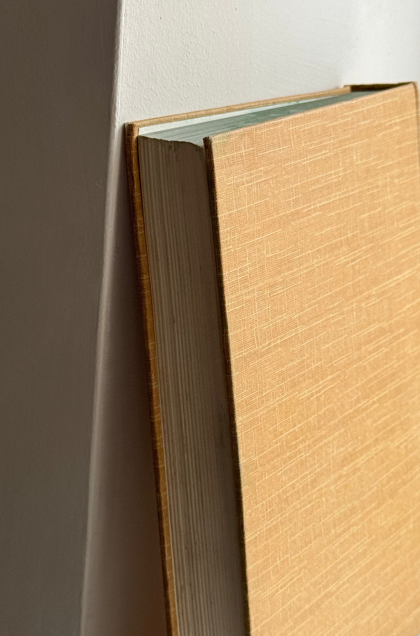 Mustard Beige Vintage Book