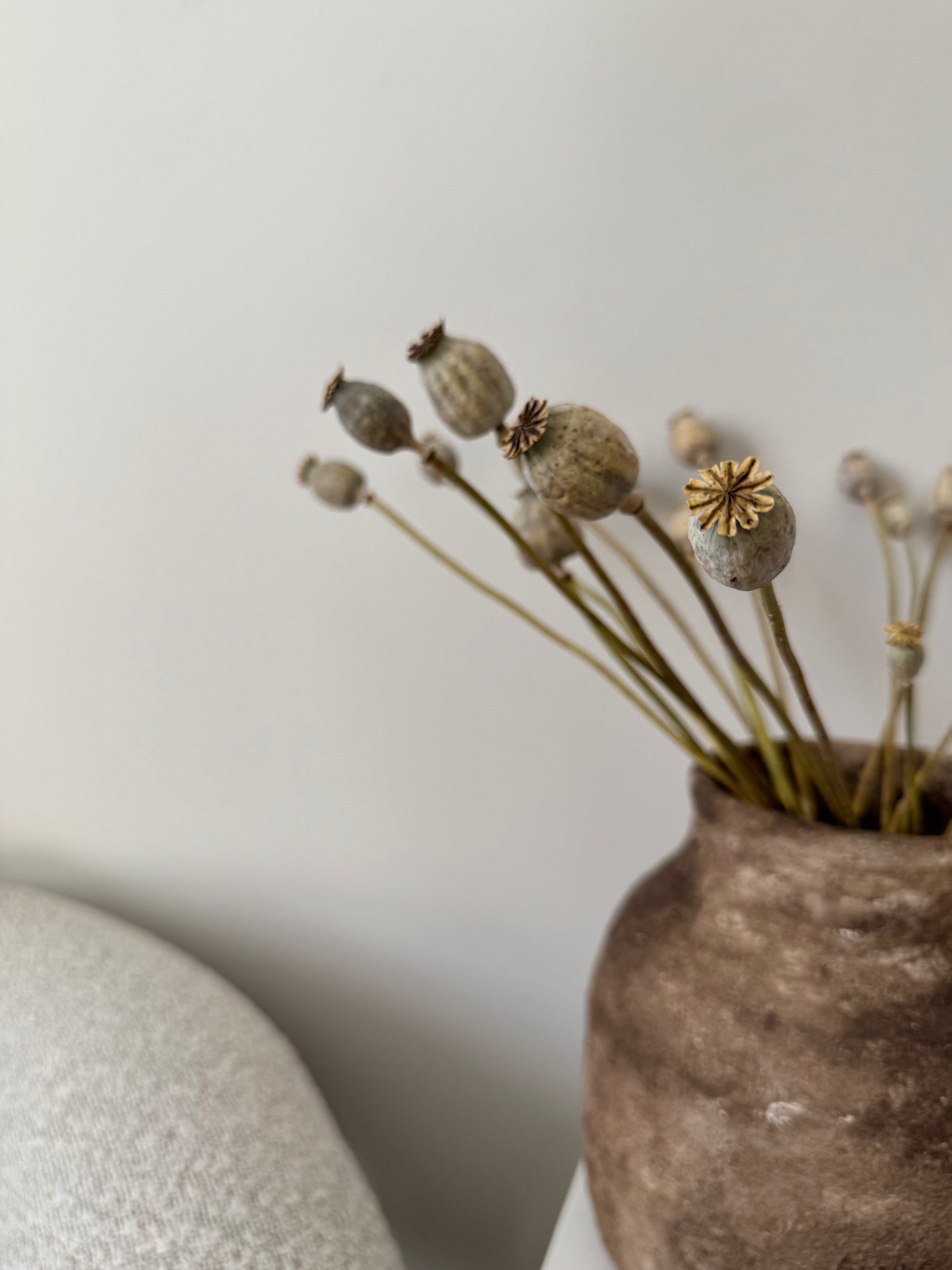 Dried Poppy Seed Bunch