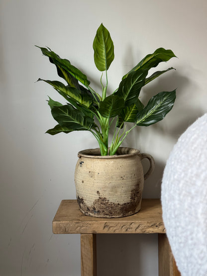 Single Handle French Confit Pot