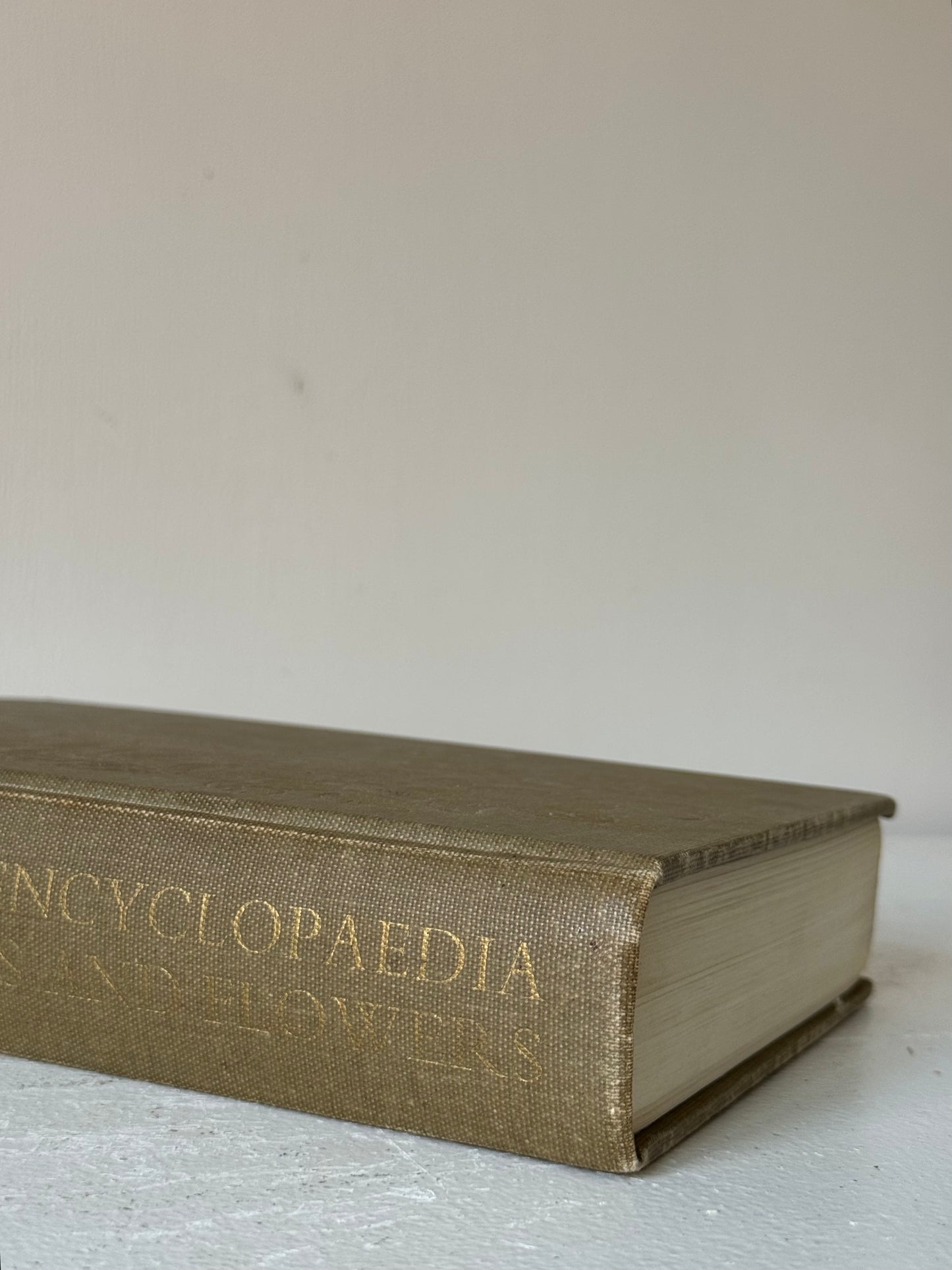 Large Vintage 'Reader's Digest' Encyclopedia Book