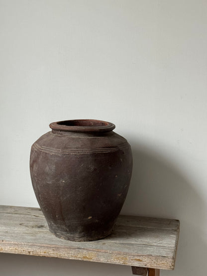 Large Aged Vessel