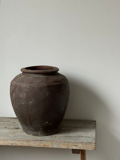 Large Aged Vessel