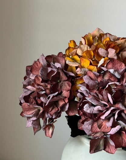 Faux Dried Hydrangea Stem