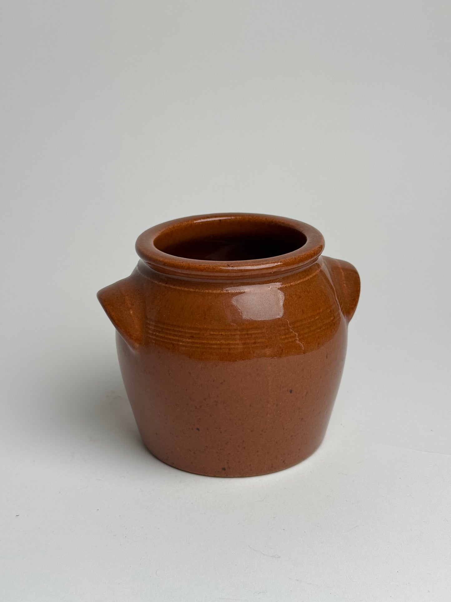 Small Rich Glaze Confit Pot