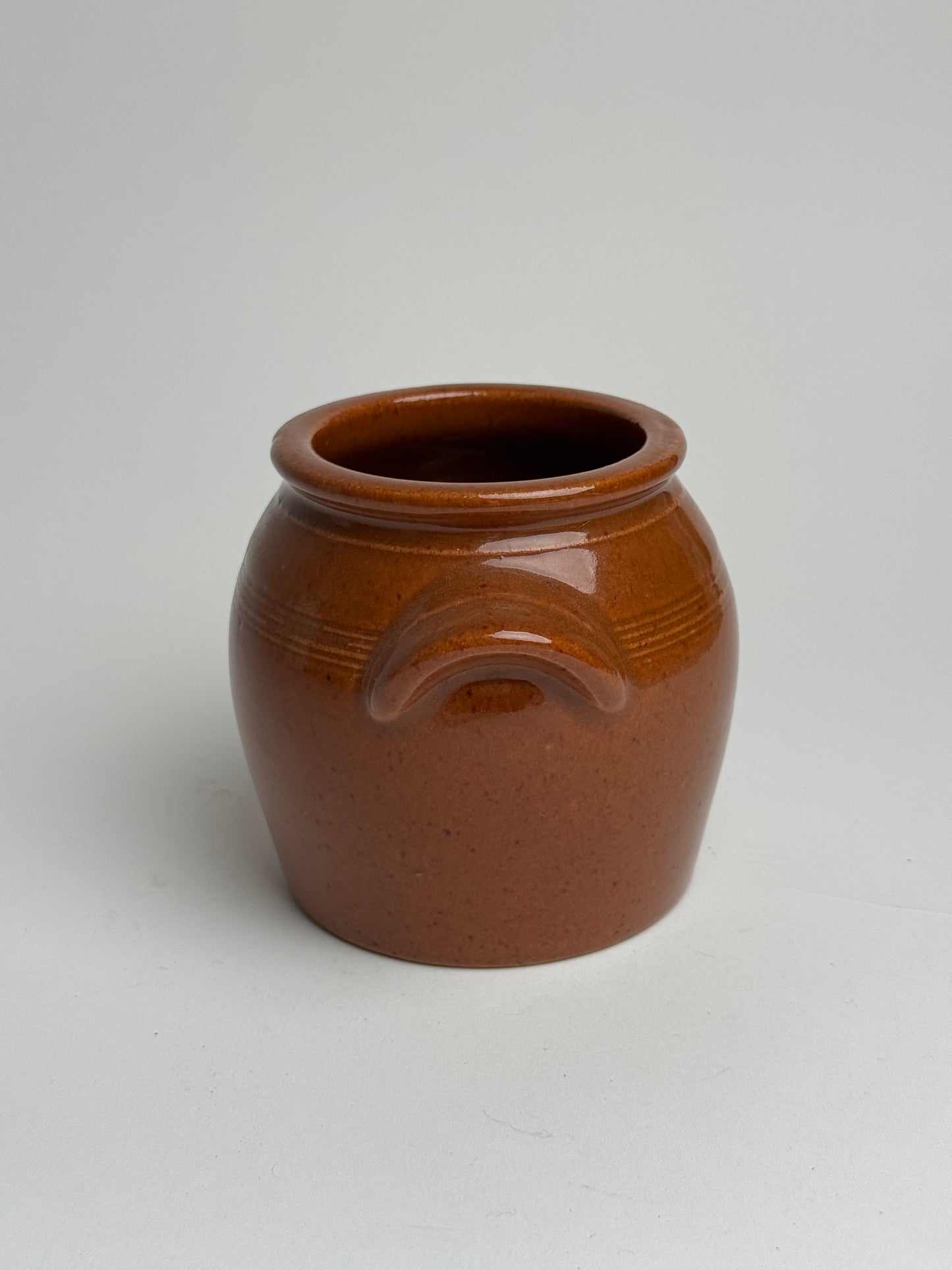 Small Rich Glaze Confit Pot