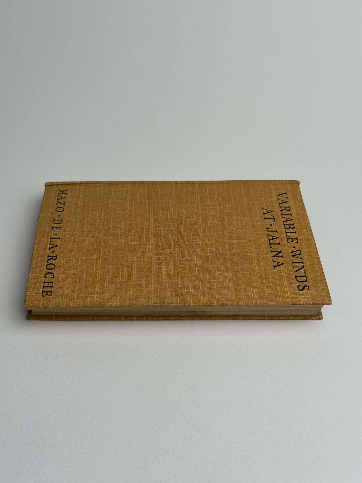 Mustard Beige Vintage Book