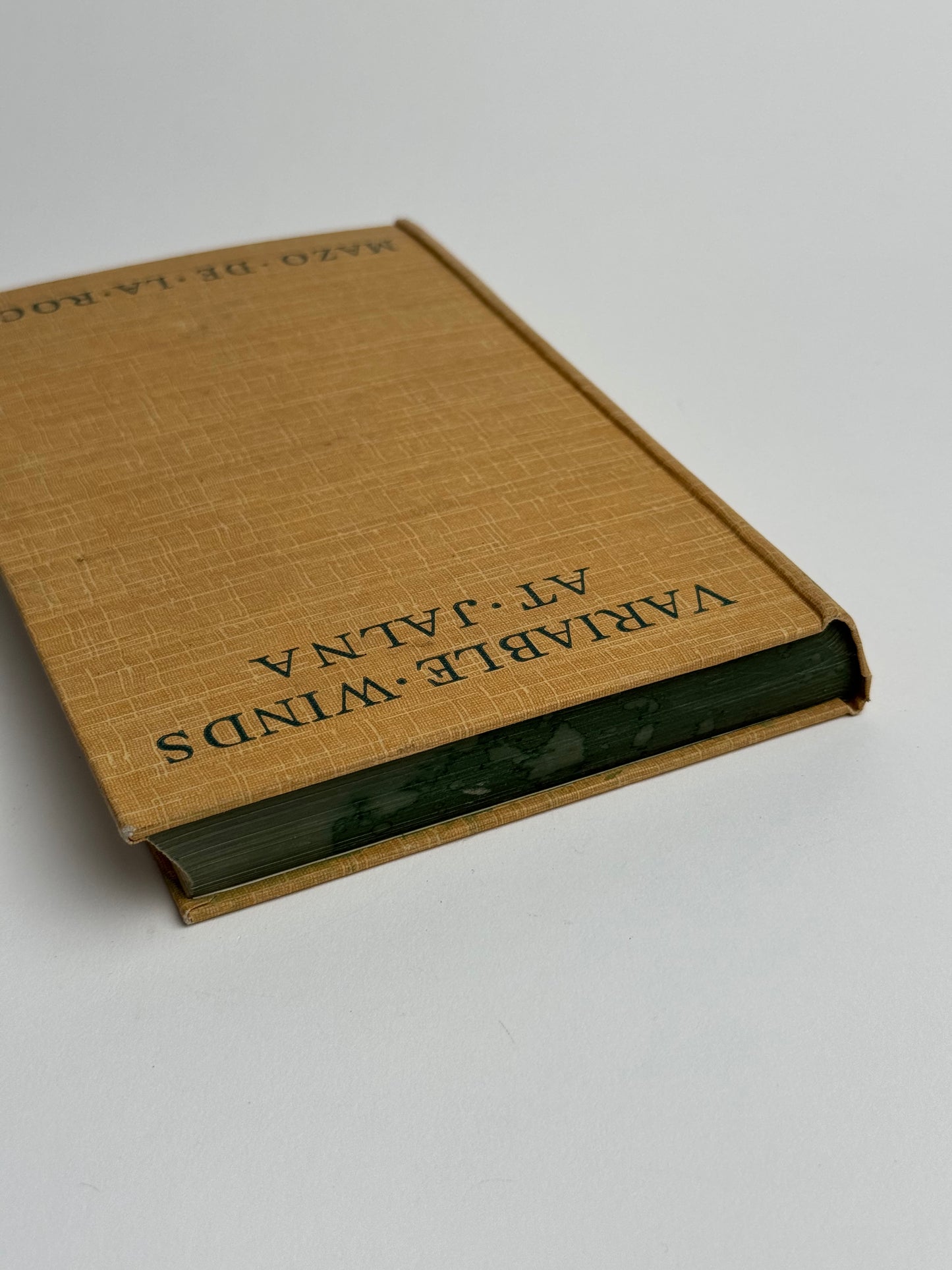 Mustard Beige Vintage Book