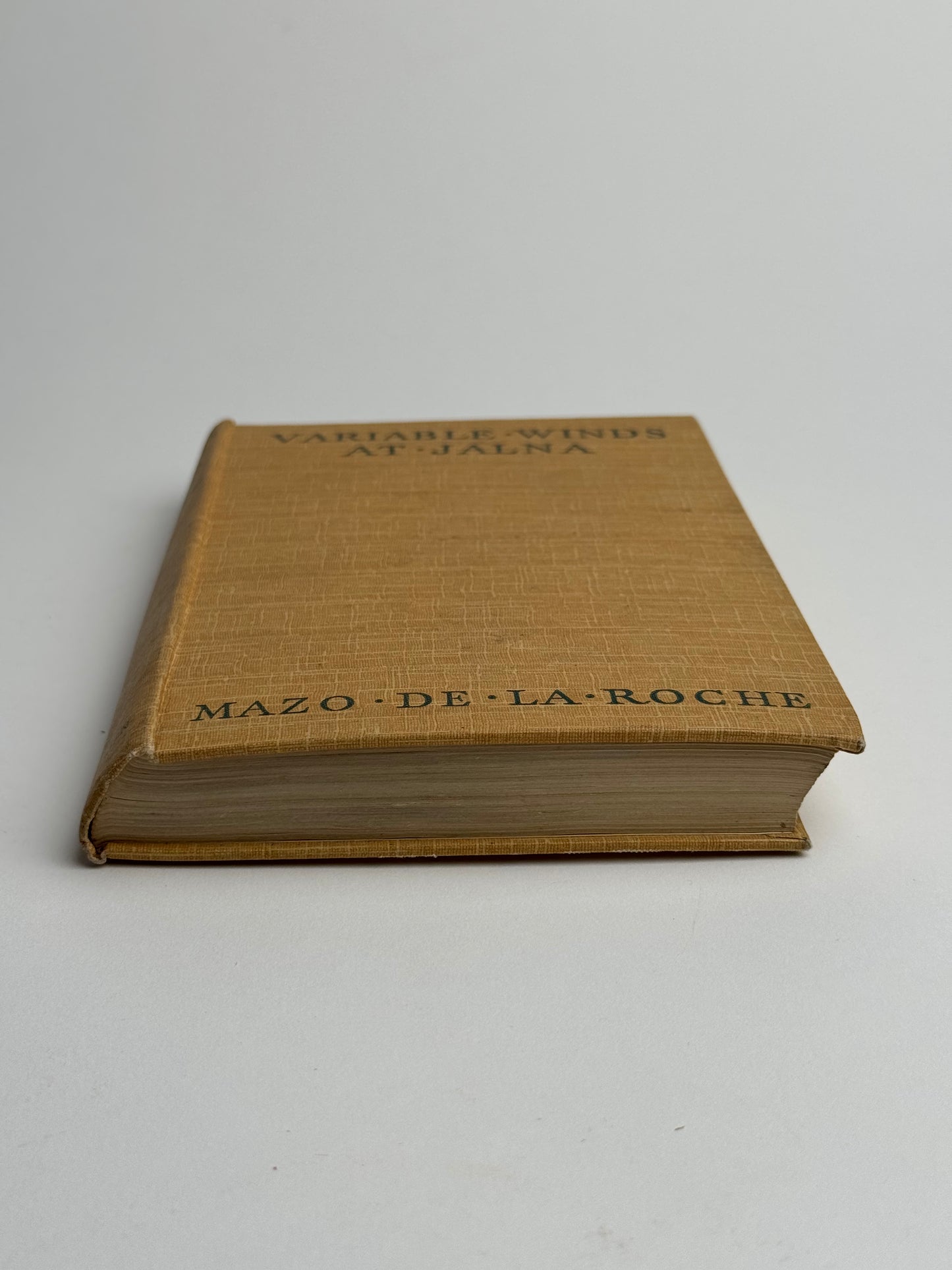 Mustard Beige Vintage Book