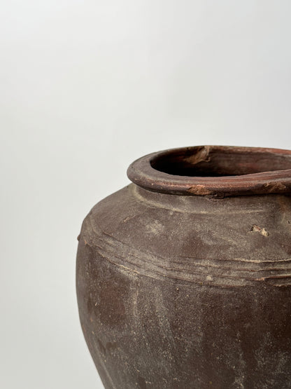 Large Aged Vessel