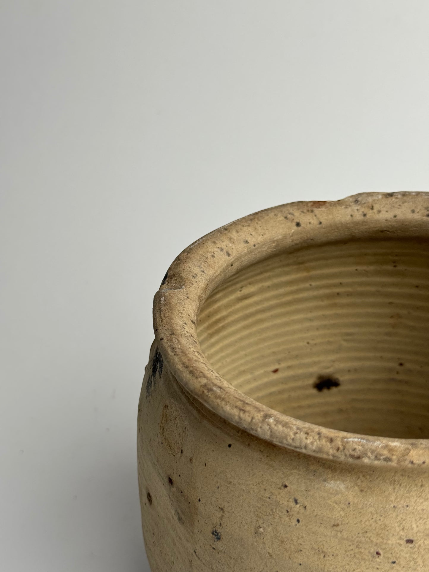 Single Handle French Confit Pot