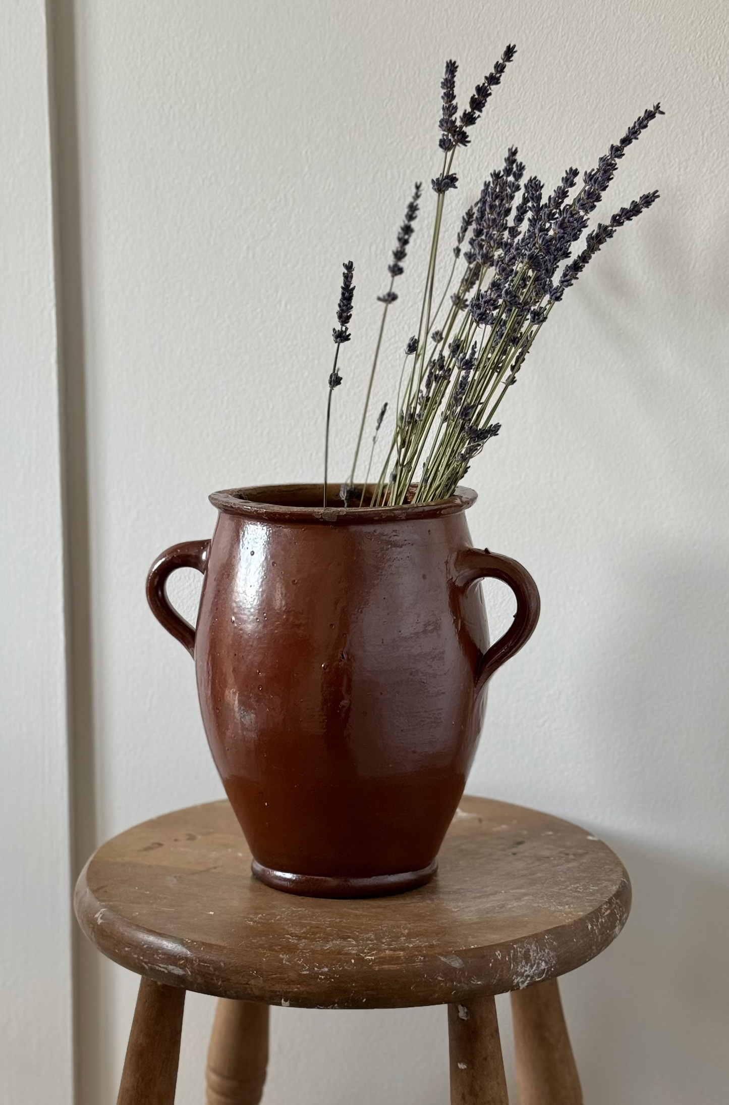 Twin Loop Handle Rich Glaze Pot
