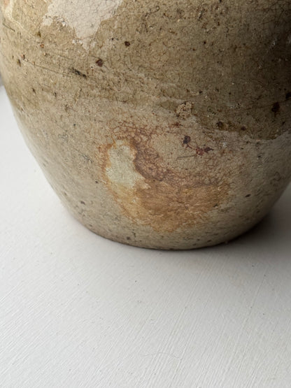 Warm Beige Antique Ginger Jar