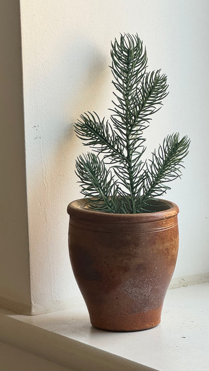 Small Vintage Tapered Pot