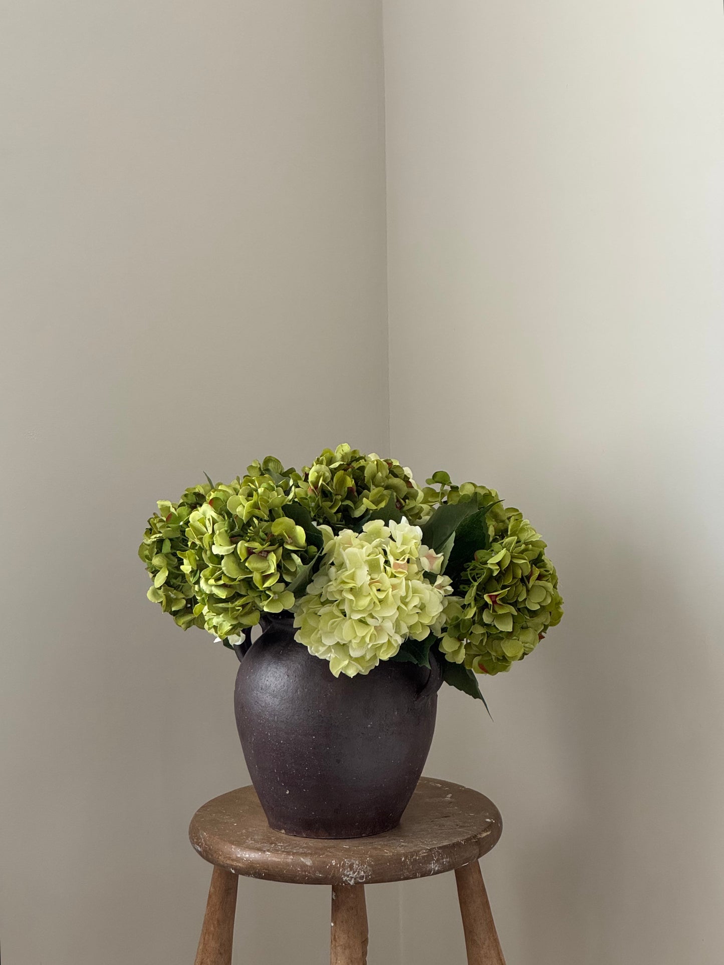 Plumb Twin Handle Rounded Pot